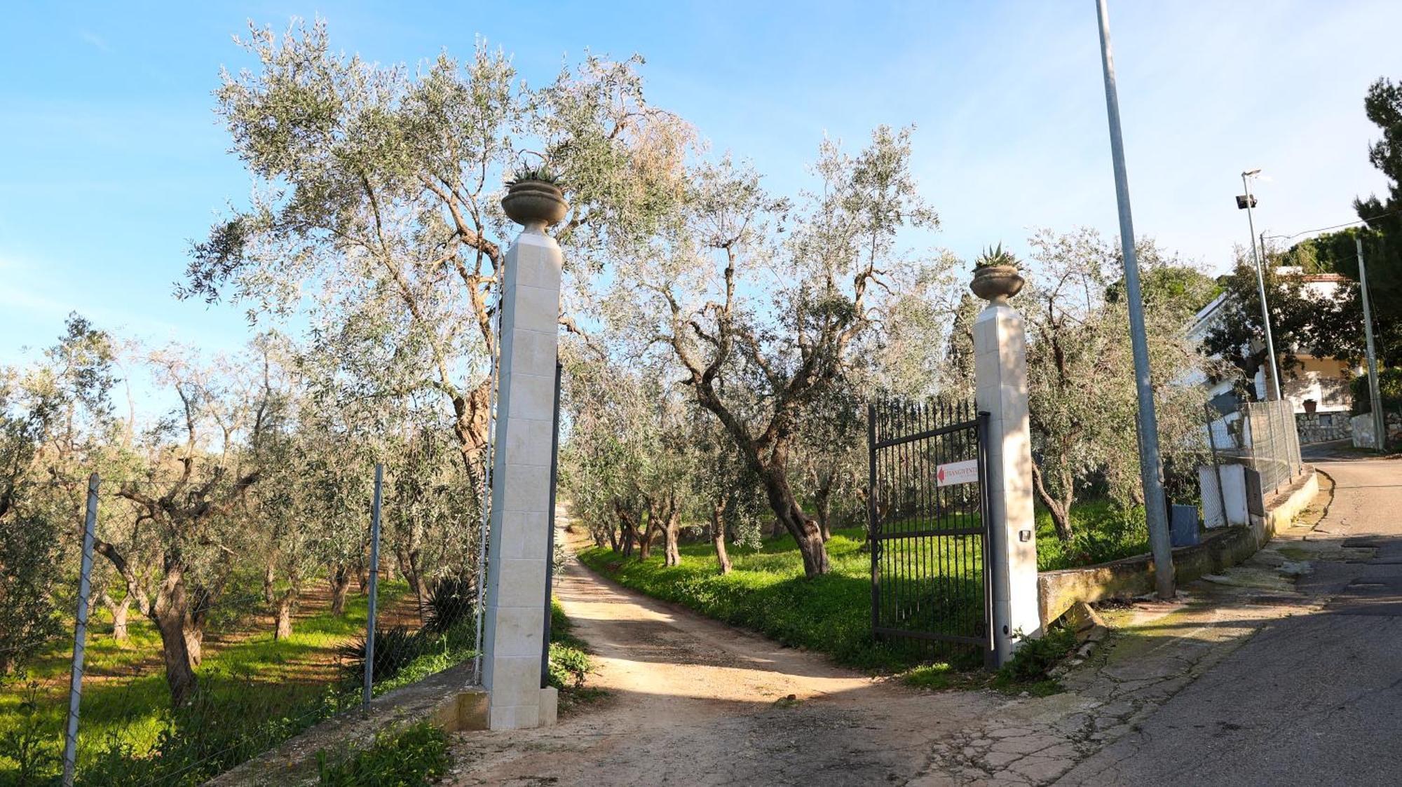 לינה וארוחת בוקר רודי גרגניקו I Frangiventi מראה חיצוני תמונה