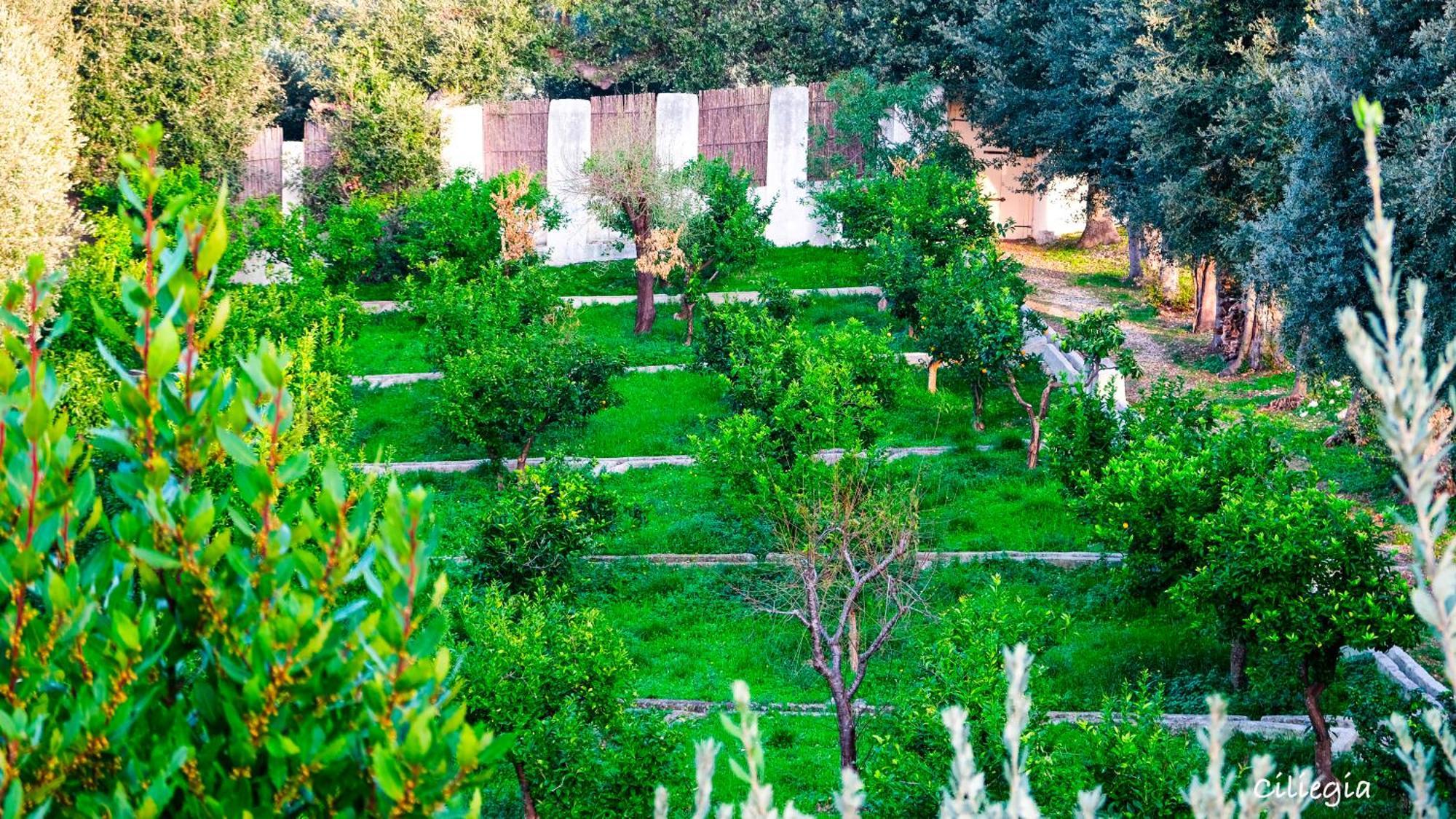 לינה וארוחת בוקר רודי גרגניקו I Frangiventi מראה חיצוני תמונה
